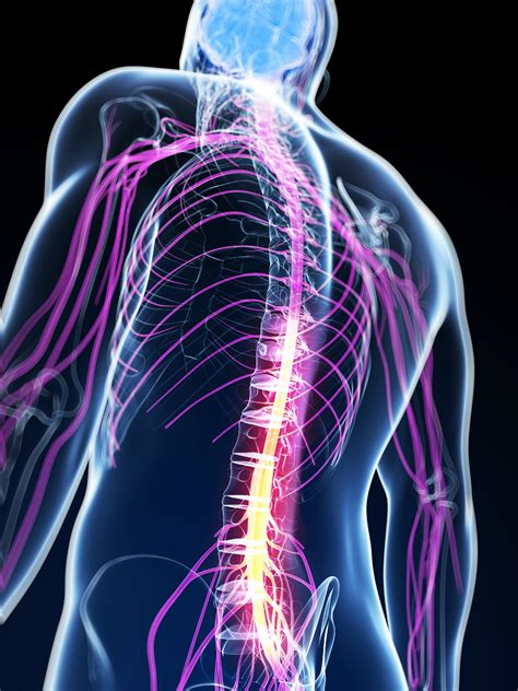 Neuromuscular Disease 